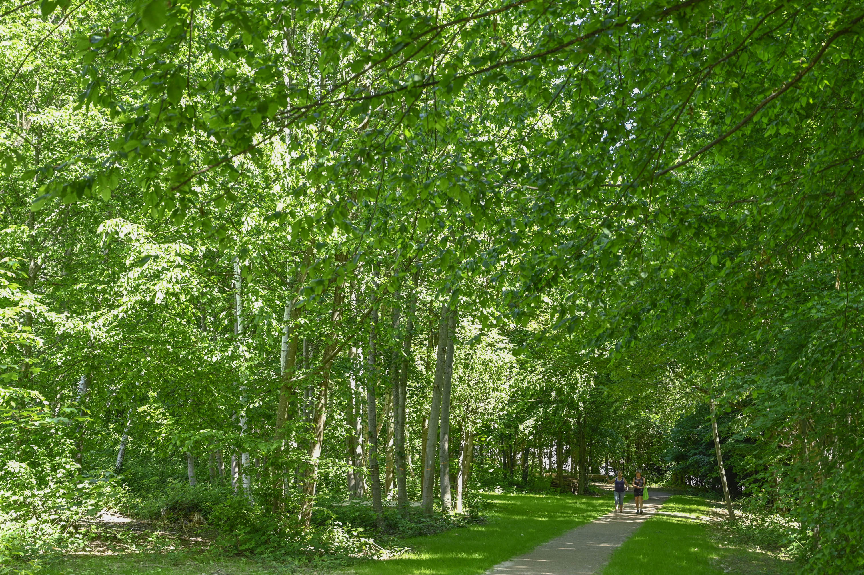 Jardin des Elues - Saint-Dié-des-Vosges