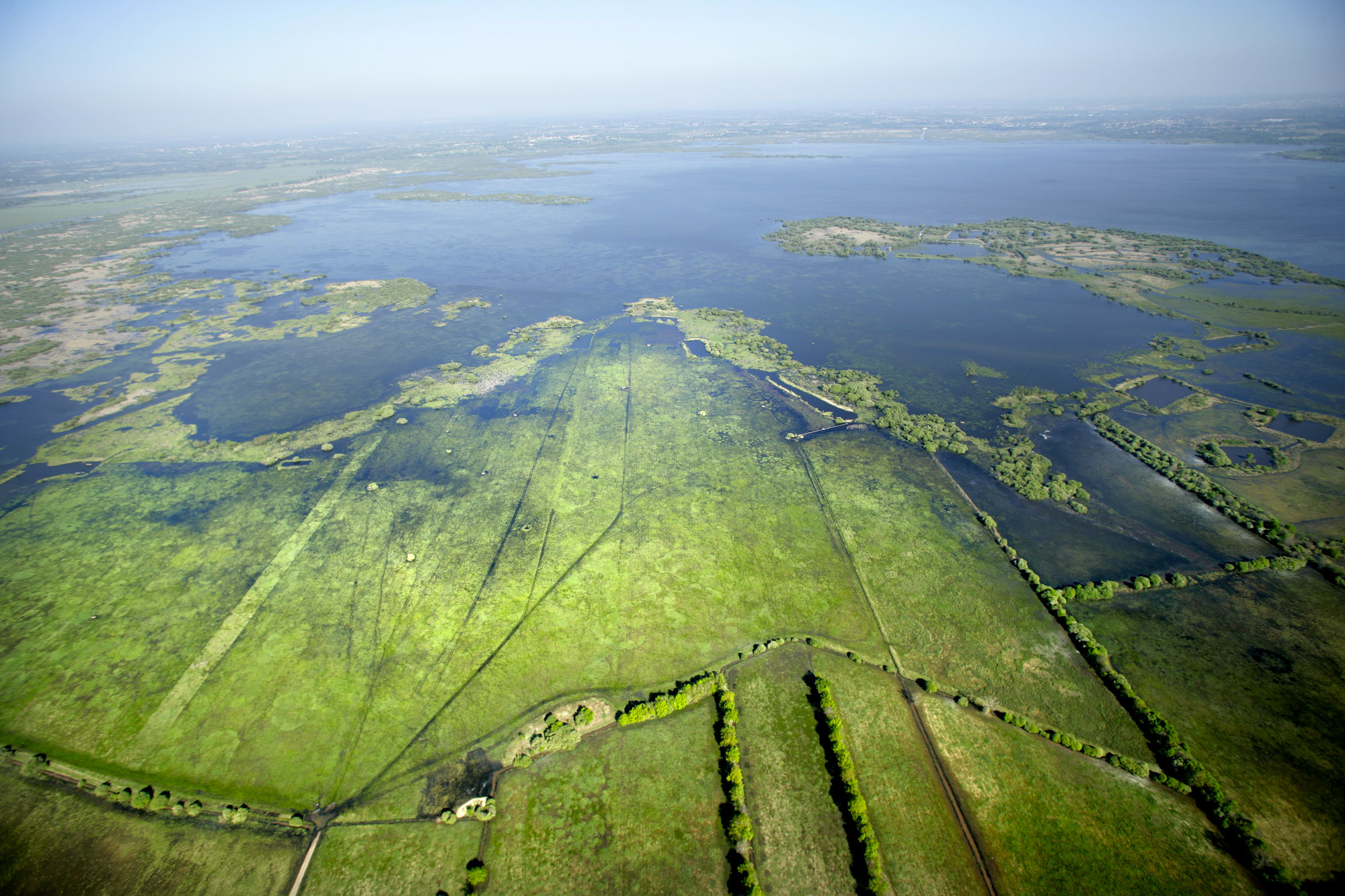 Lac Grand Lieu