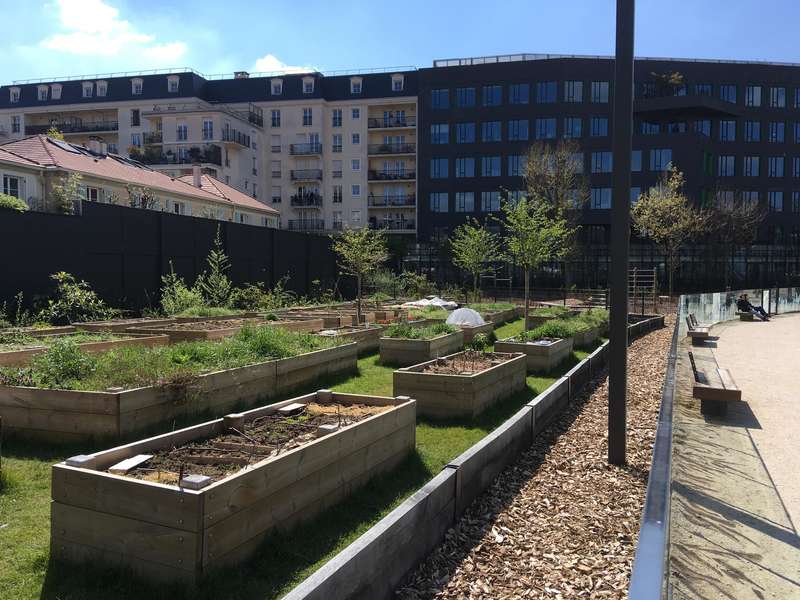 Les jardins partagés Jean Jaurès © Ville de Montrouge