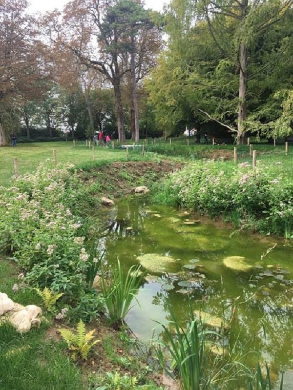 Réouverture de la source de la petite Saussaie et renaturation du bassin dans le parc Frédéric Joliot-Curie ©Mairie de Vitry-Sur-Seine