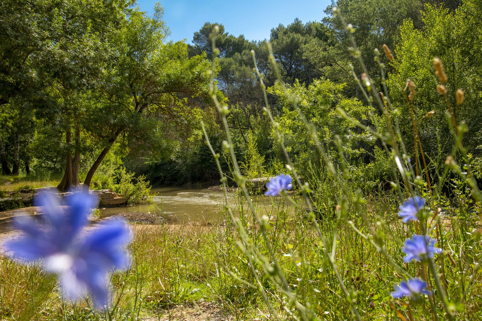 Parc Aix en Provence