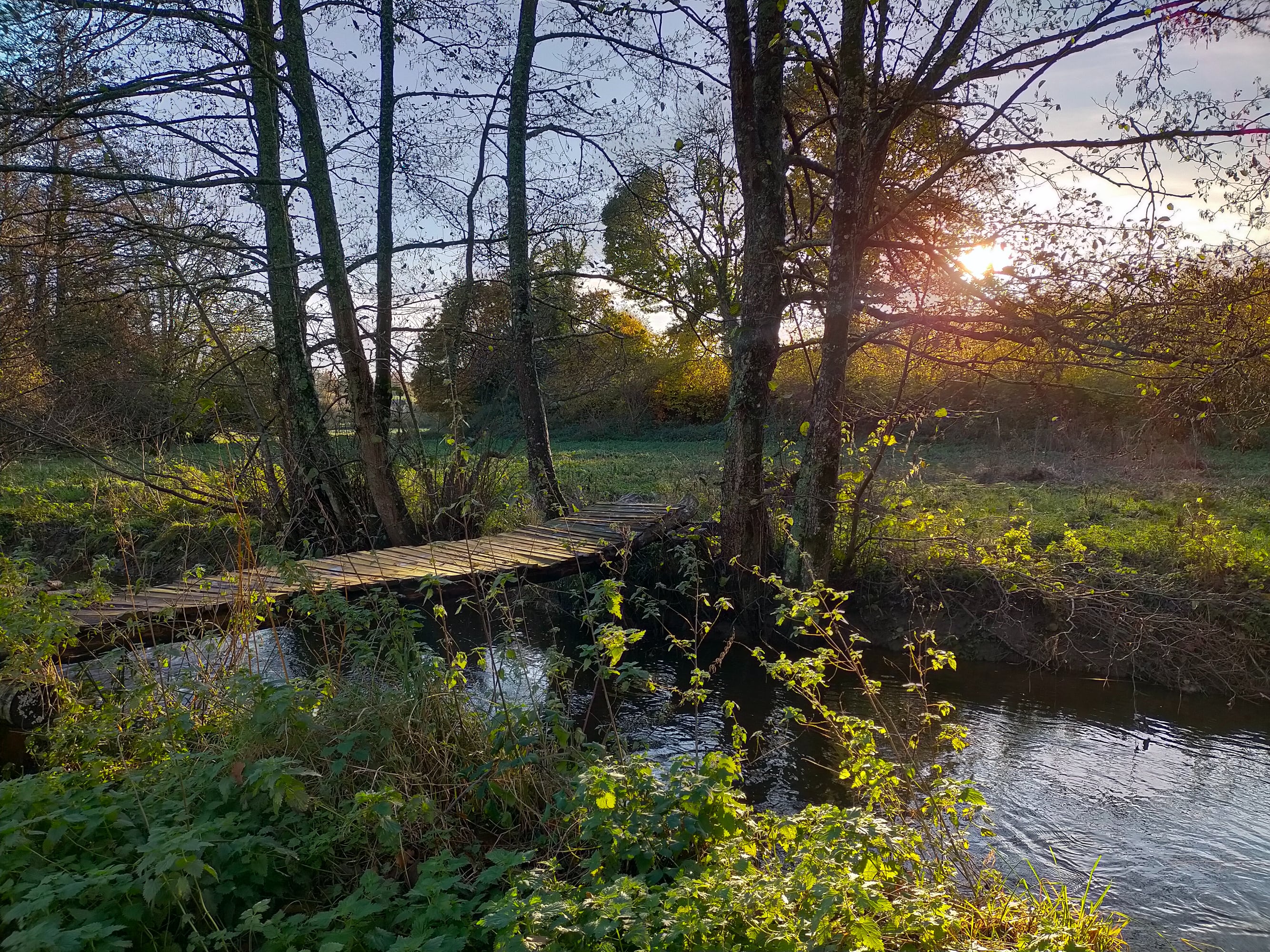 Image d'un espace naturel de la commune