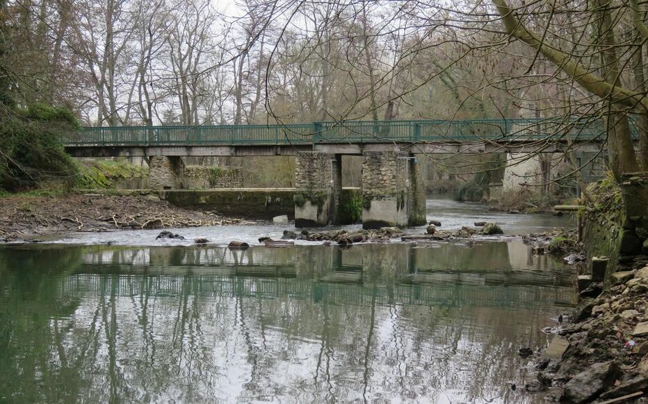 Boussy-Saint-Antoine : l’Yerres reprend son cours avec la disparition du barrage