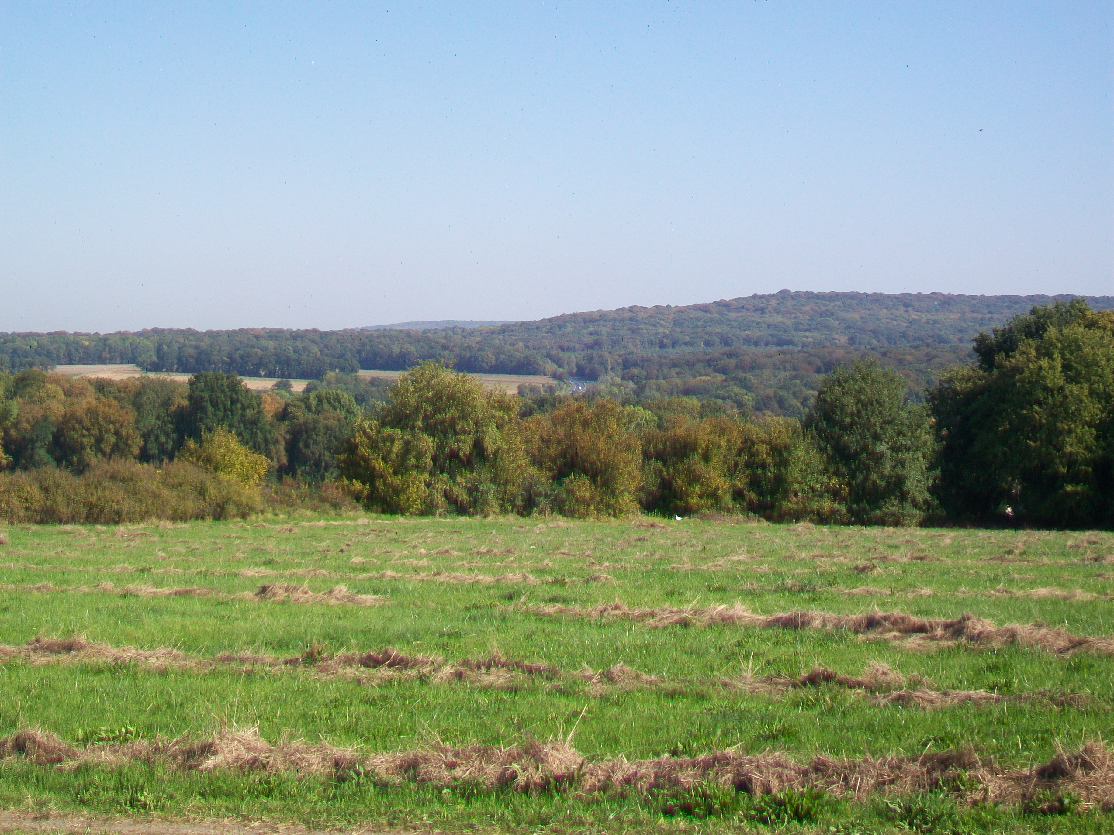 Chemin Destors, vue sur la forêt de l'Isle-Adam ©Wikimedia Commons