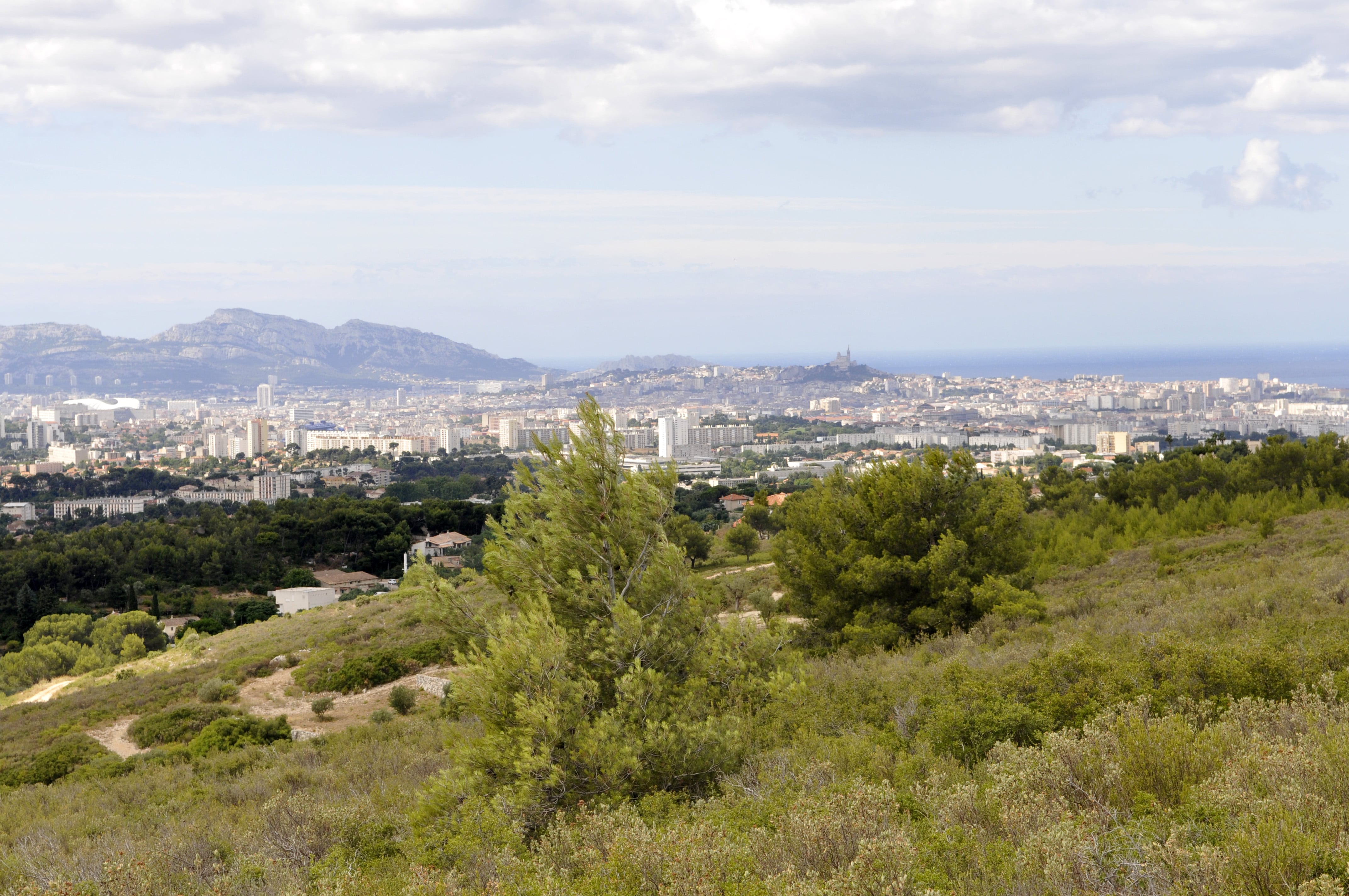 Marseille Panoramique avec pin _ Massif de l'Etoile