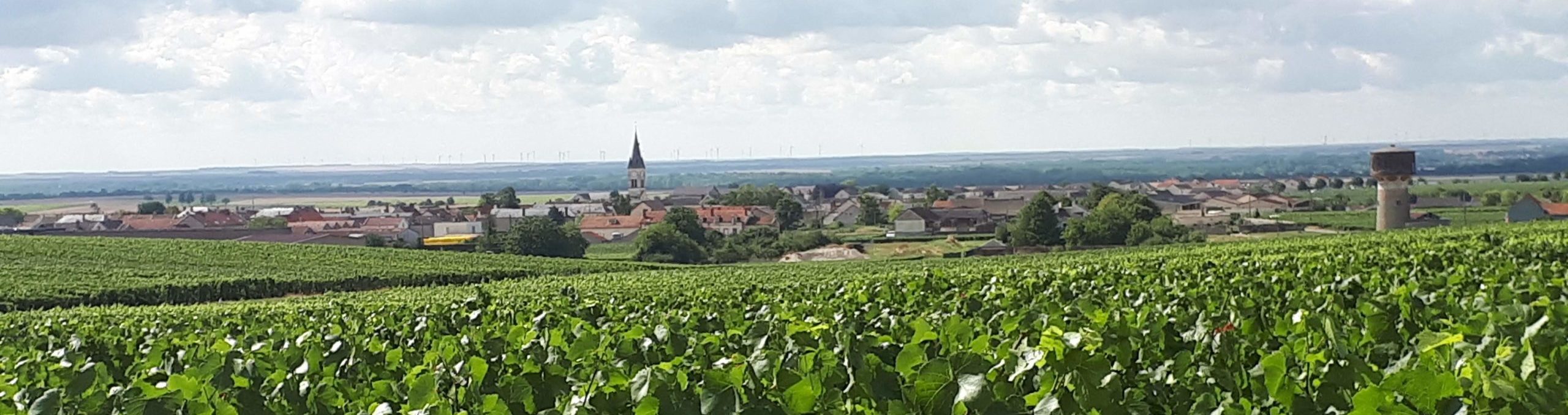 https://www.tourisme-hautvillers.com/village/bouzy/