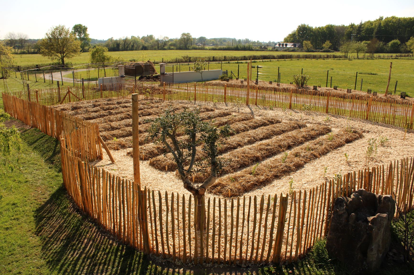   Création d'un potager, d'une haie fruitière et d'une haie brise-vent chez un particulier