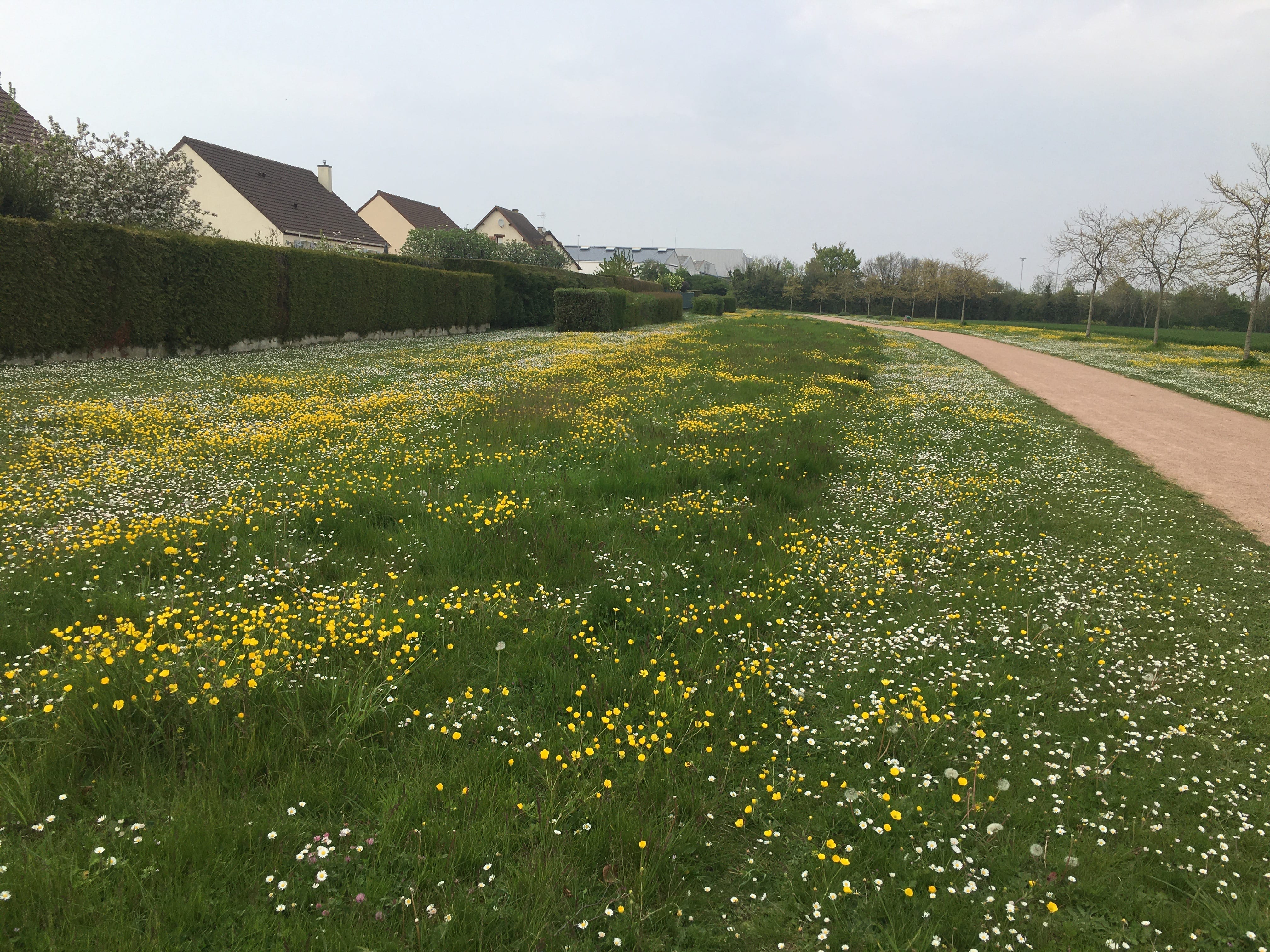 Gestion différenciée d'espaces verts