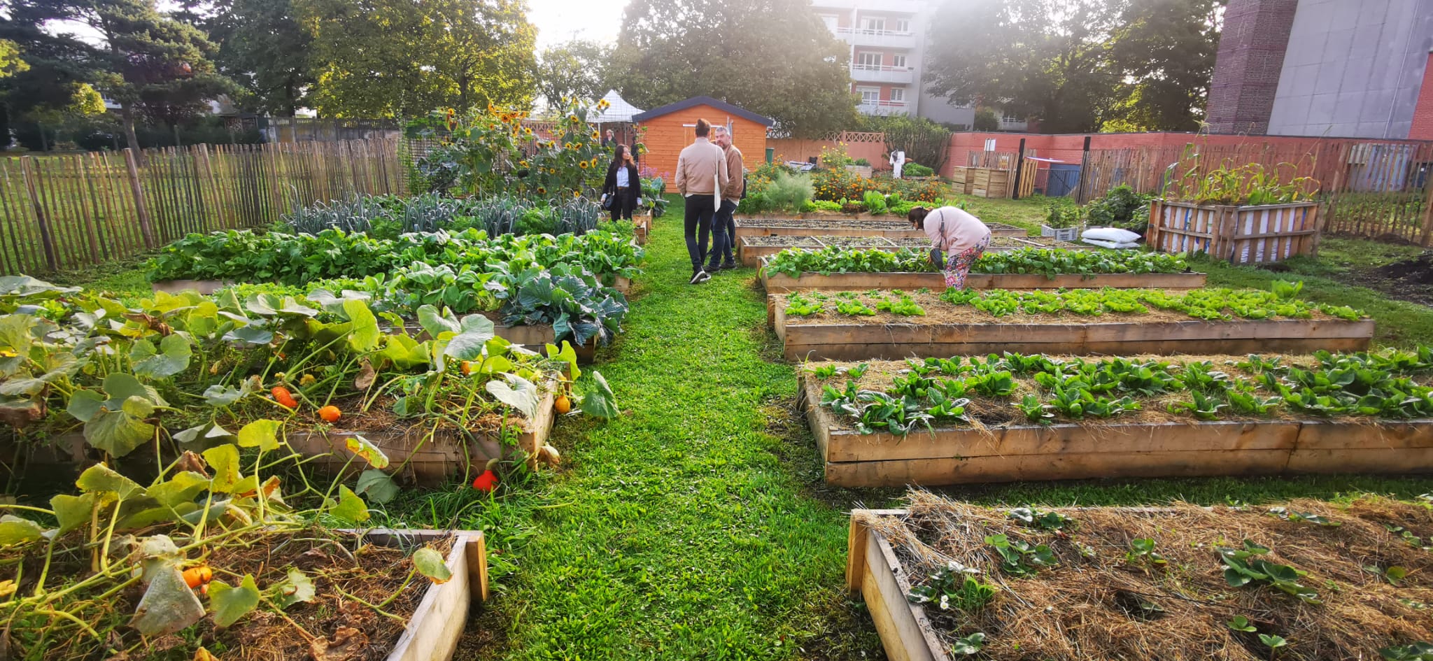 Jardin partagé