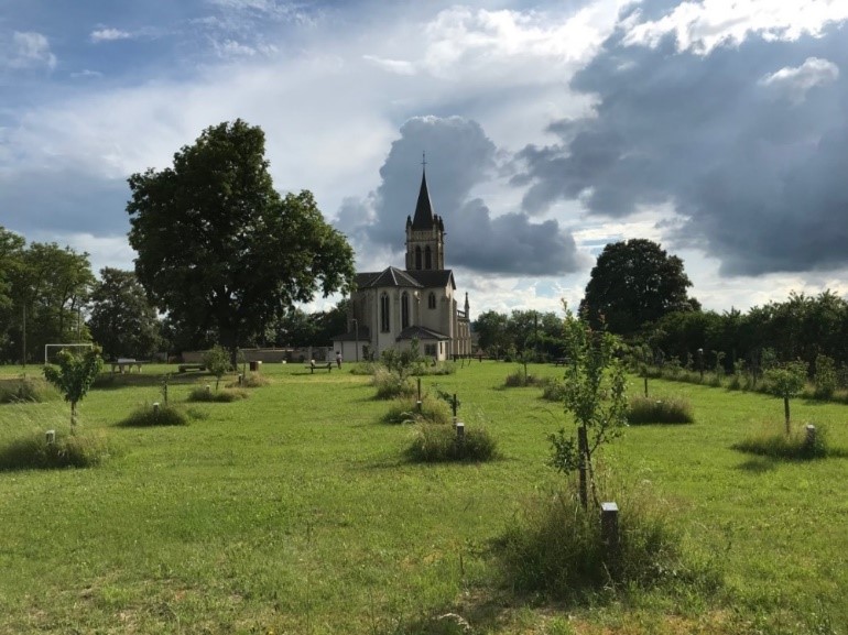 Parc de Savonnière