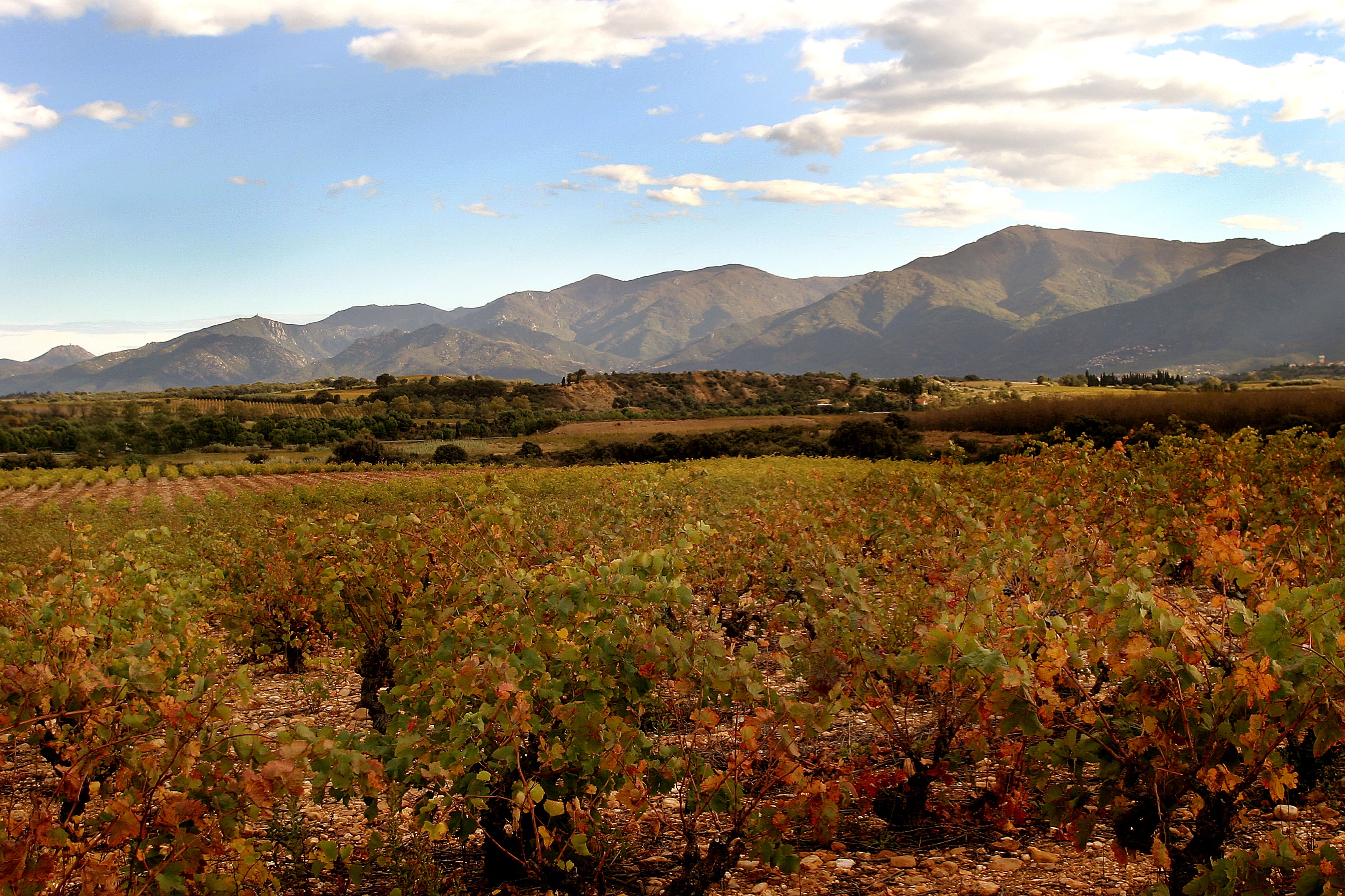 Paysage typique du territoire