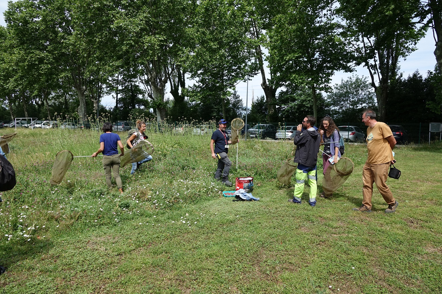 Formation des référents biodiversité sur les papillons, parcelle en fauche tardive
