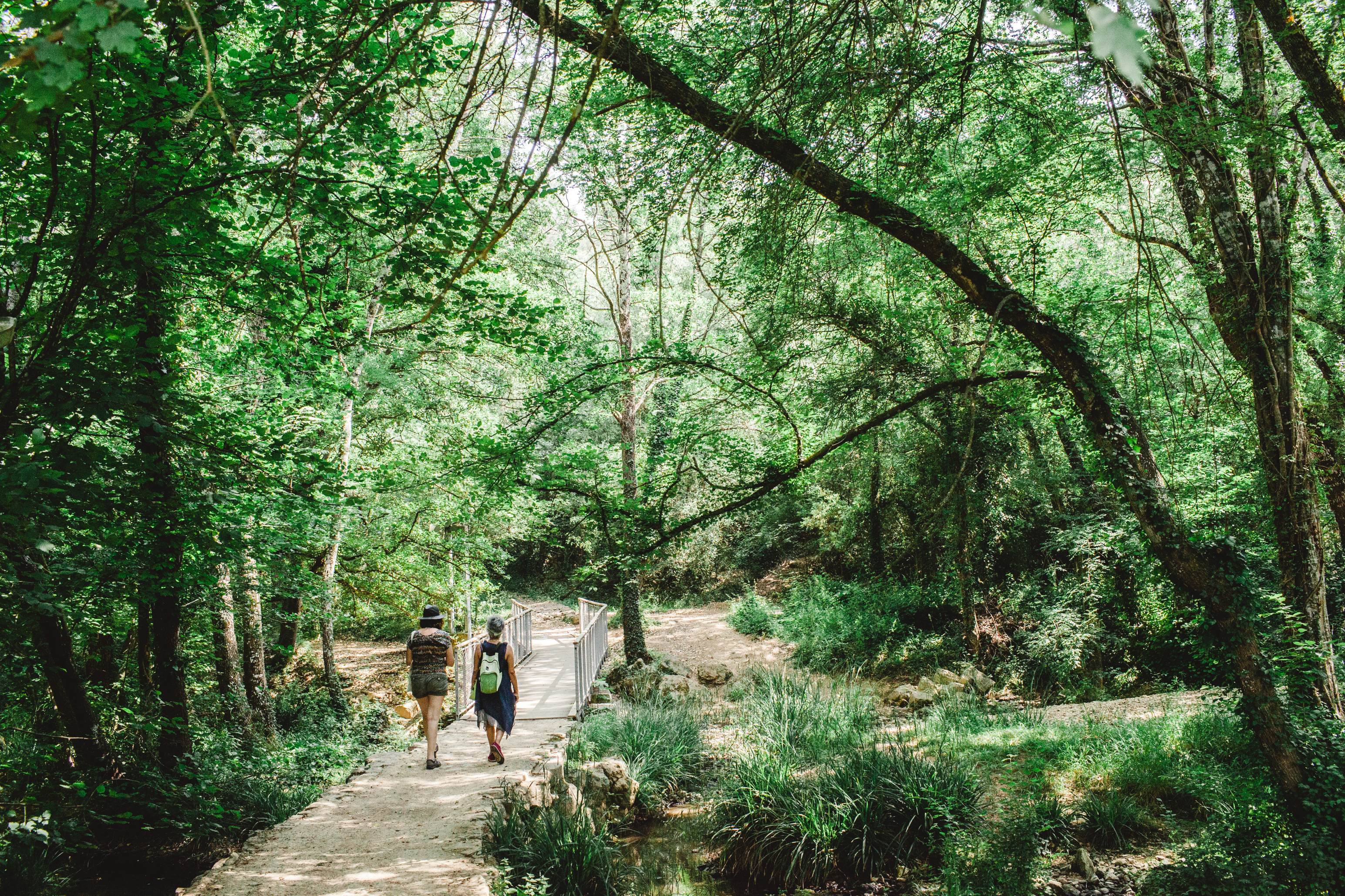 Valbonne-Bouillides