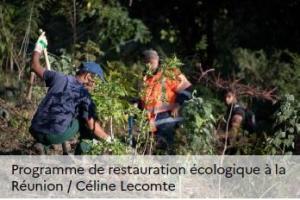 Programme de restauration écologique à la Réunion