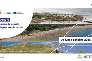 webinaires