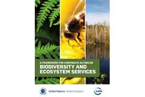 A framework for corporate action on biodiversity and ecosystem services