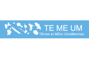 logo TEMEUM