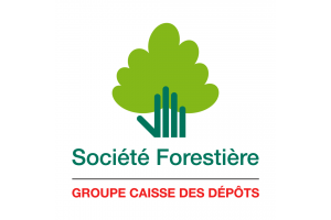 SOCIETE FORESTIERE ENGAGEE LOGO