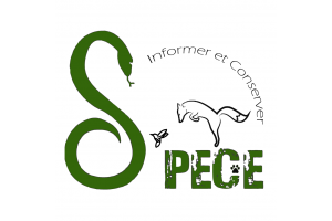 Logo S'PECE