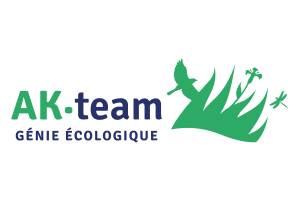 logo AK TEAM