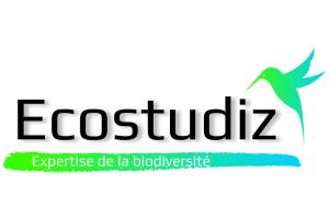 logo ECOSTUDIZ