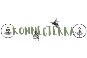 logo KONNECTERRA