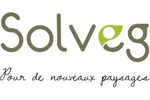 logo solveg