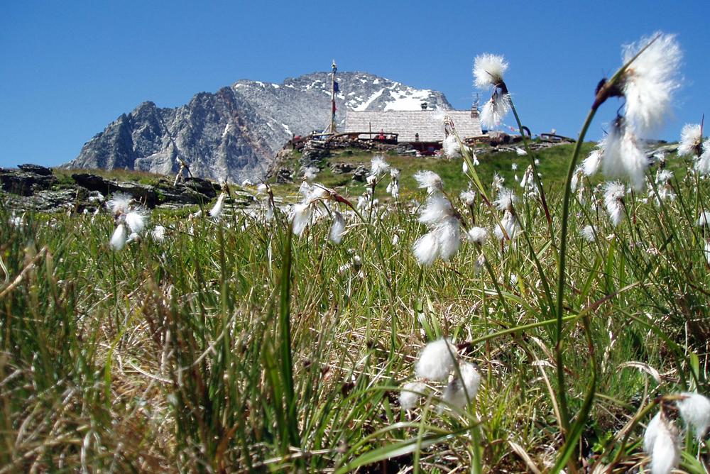 Parc national de la Vanoise. Crédit photo : France Nature Environnement