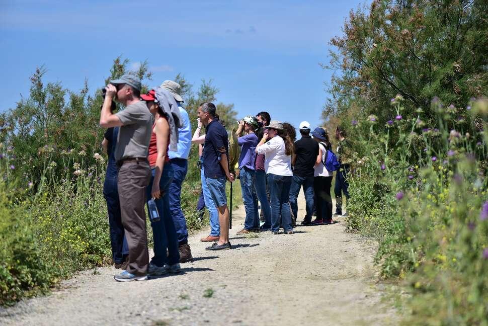 Sensibilisation du public lors de la Fête de la nature 2019.