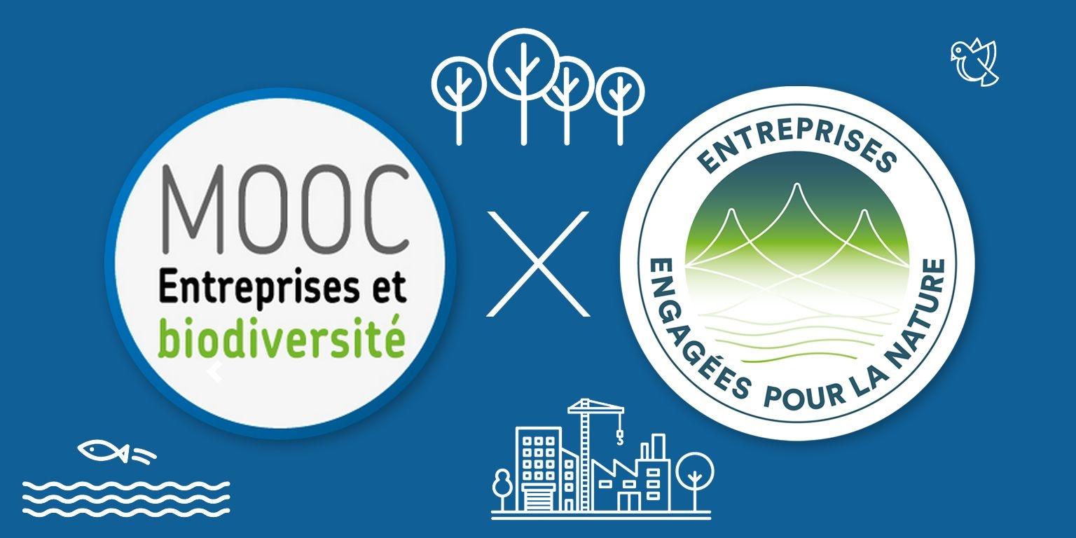 MOOC LPO