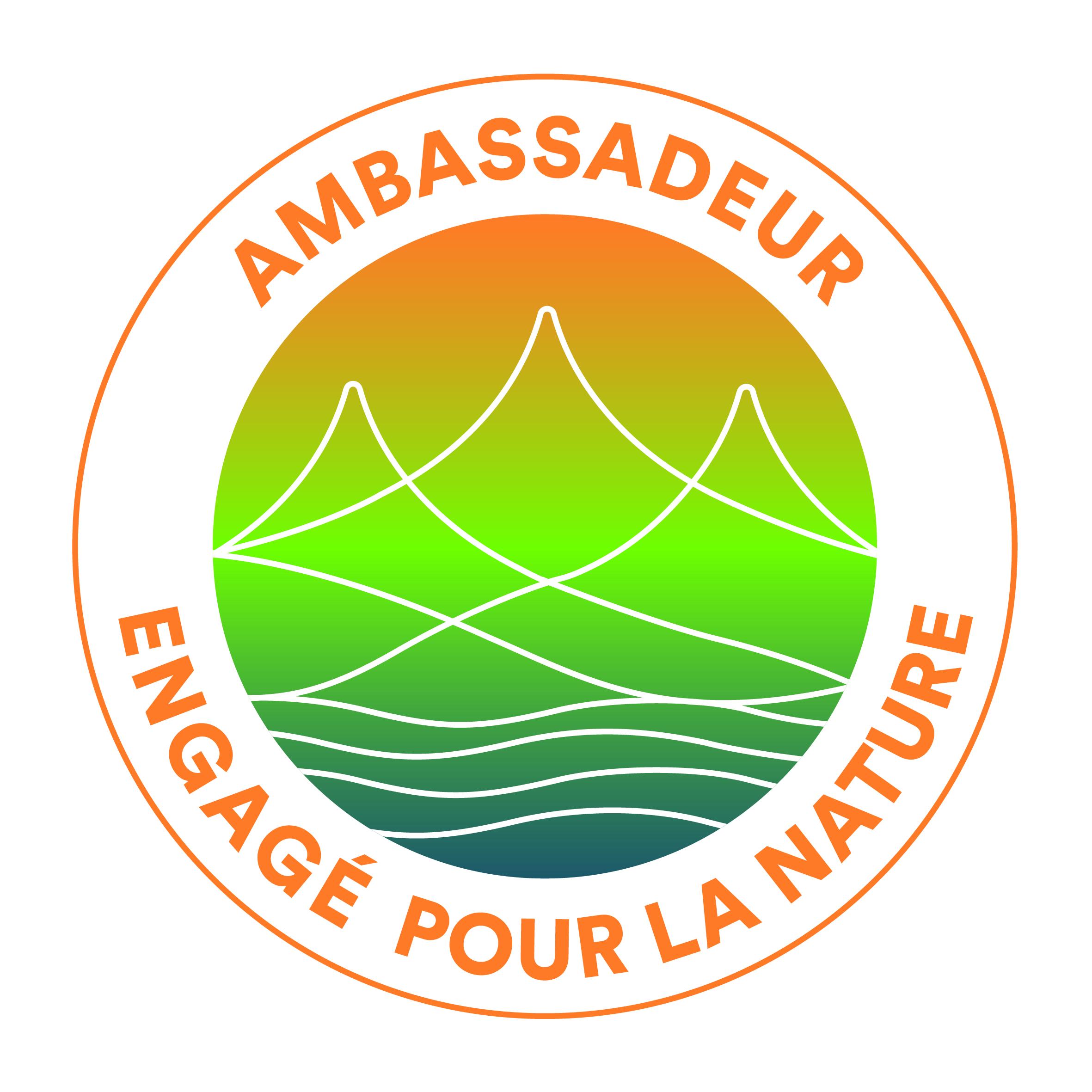 logo aen