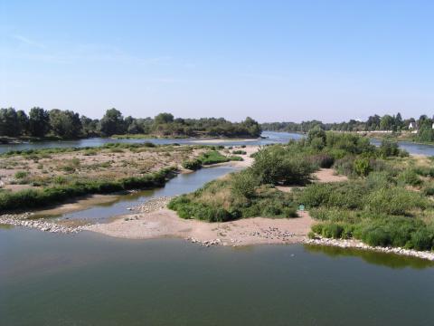 Rives de Beaugency © IG-CENCVL