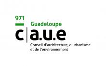 Logo CAUE