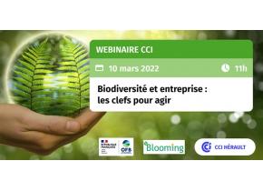 Webinaire CCI