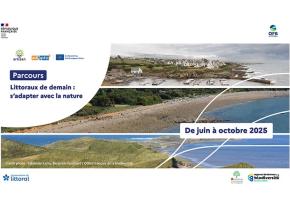 webinaires