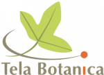 LogoTelabotanica