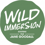 WILD IMMERSION LOGO ENGAGEE