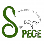 Logo S'PECE
