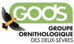 Logo-Groupe Ornithologique des Deux-Sèvres (G.O.D.S.) Logo-Groupe Ornithologique des Deux-Sèvres (G.O.D.S.)