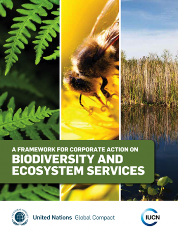 A framework for corporate action on biodiversity and ecosystem services