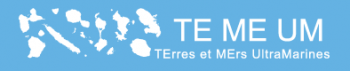 logo TEMEUM