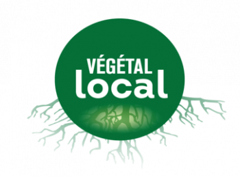 Végétal local 